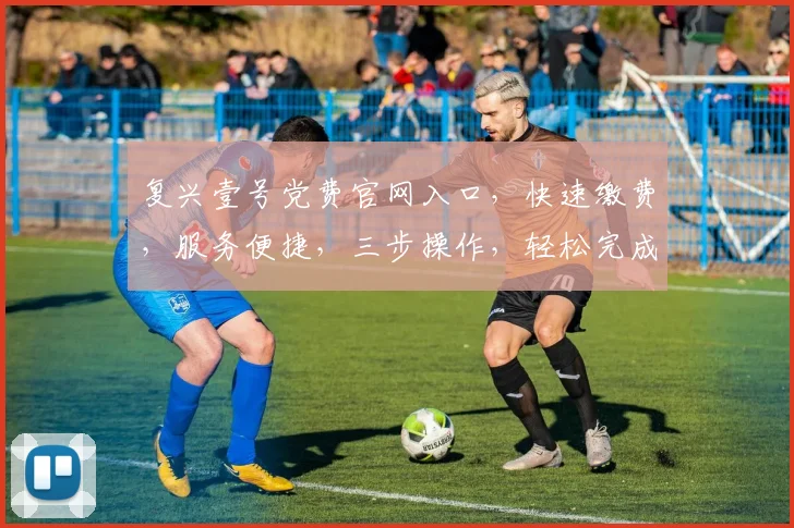 复兴壹号党费官网入口，快速缴费，服务便捷，三步操作，轻松完成，党员必备