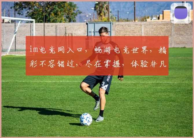 im电竞网入口，畅游电竞世界，精彩不容错过，尽在掌握，体验非凡