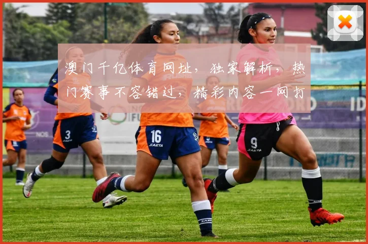 澳门千亿体育网址，独家解析，热门赛事不容错过，精彩内容一网打尽，尽在指尖