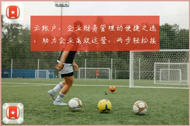 云账户，企业财务管理的便捷之选，助力企业高效运营，两步轻松接入
