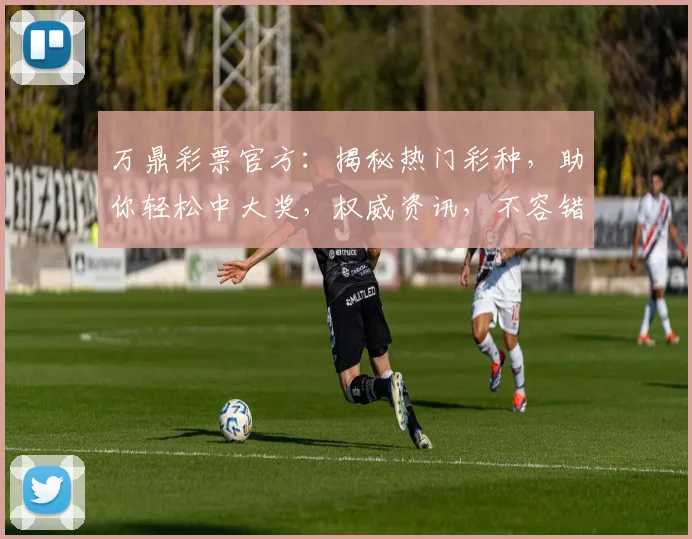 万鼎彩票官方：揭秘热门彩种，助你轻松中大奖，权威资讯，不容错过，快速抢购