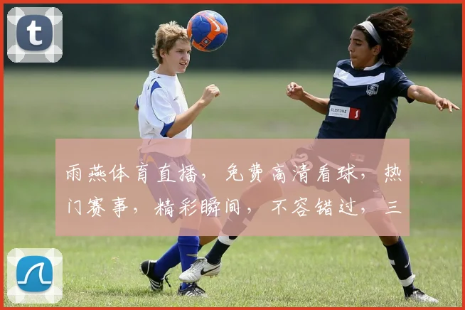 雨燕体育直播，免费高清看球，热门赛事，精彩瞬间，不容错过，三重福利等你来