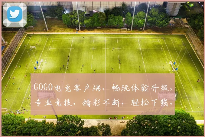 GOGO电竞客户端，畅玩体验升级，专业竞技，精彩不断，轻松下载，两步即可